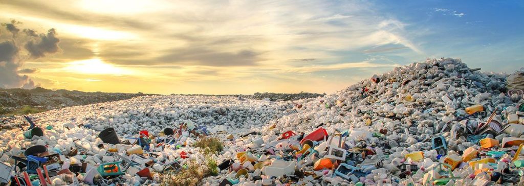 Reducing Plastic Pollution – Interview with Chantal Plamondon, Co-Author of ‘Life Without&nbsp;Plastic’