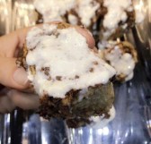 0AA4528A-3385-42F1-9141-CC99A85433D2