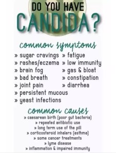 DFED75AF-BD70-41EF-8AB0-8FF810DABFAB